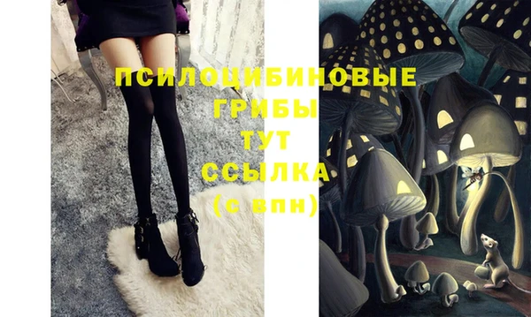 2c-b Абинск