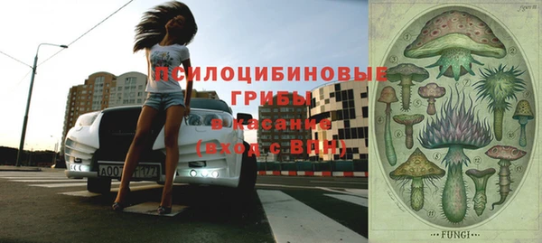 стафф Абдулино