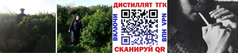 мега онион  Дятьково  ТГК вейп 