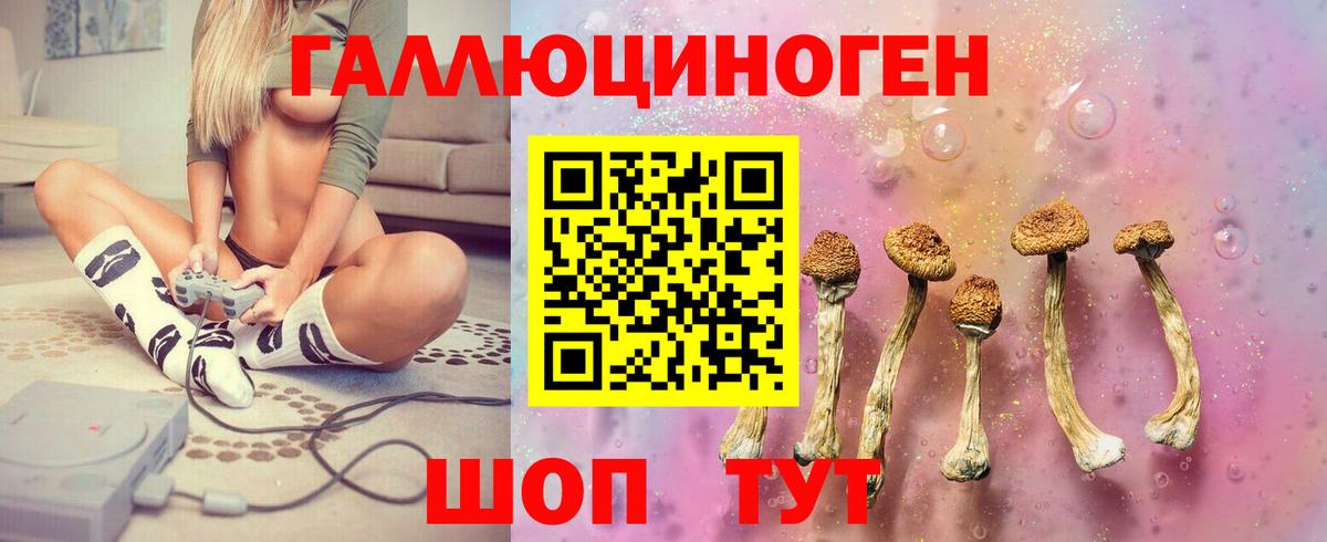Дятьково  Галлюциногенные грибы мицелий  Вход с VPN 